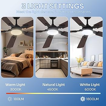 ✨BEN=^ΦωΦ^=✨ Crazypai Ceiling Fans with Lights, 52 Inch Modern Ceiling